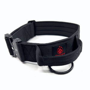 Dog Gear